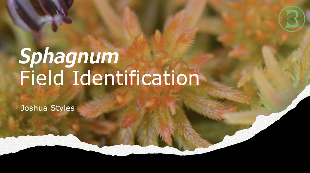 Sphagnum Field Identification