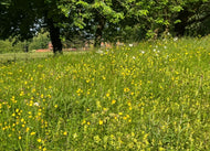 STUDENT Field Identification Skills Certificate (FISC) - 4th June 2026