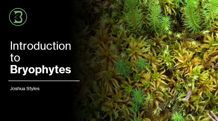 Introduction to Bryophytes – British Botany