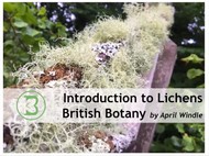 Introduction to Lichens