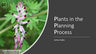 Plants in the Planning Process